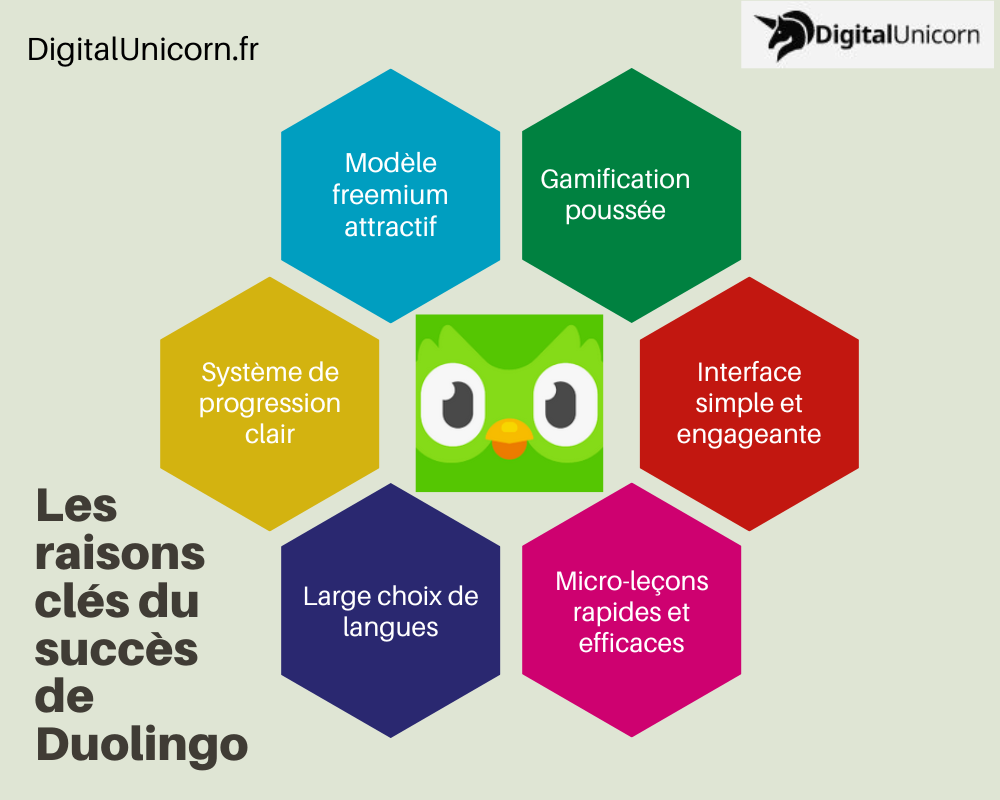Les raisons clés du succès de Duolingo