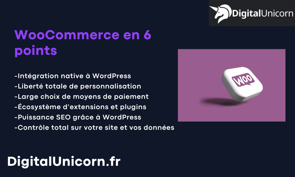 WooCommerce en 6 points