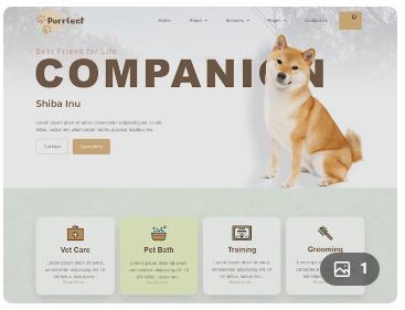 Purrefect portfolio 1